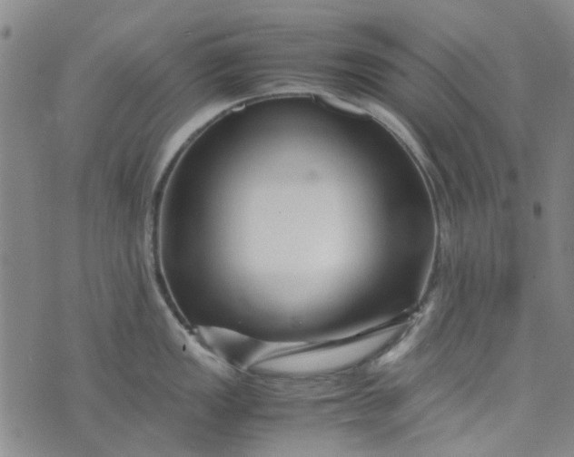 X0000076311149200610161612