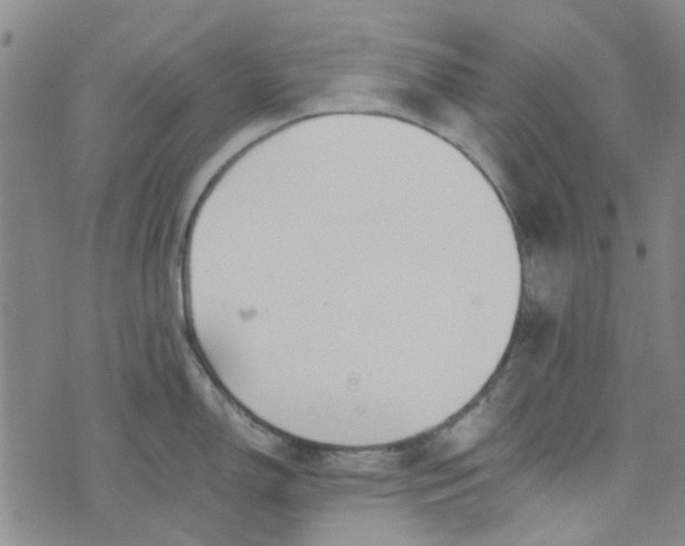 X0000076311150200610161612