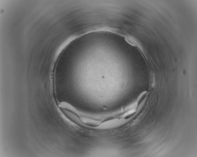 X0000076311151200610161612