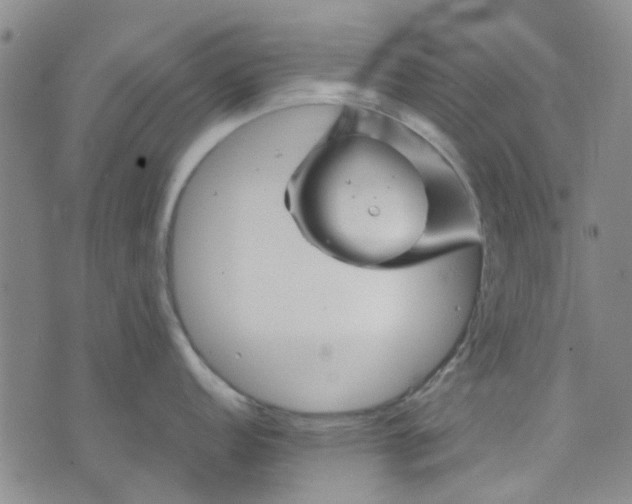 X0000076311152200610161612