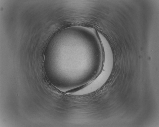 X0000076311153200610161611