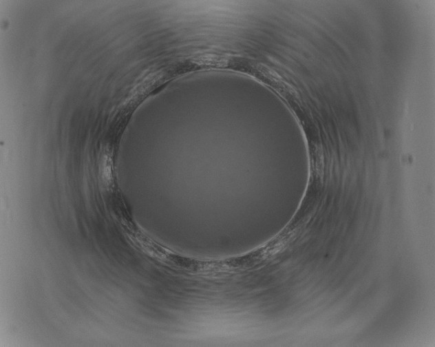 X0000076311154200610161611