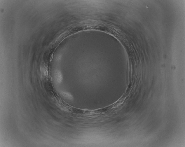 X0000076311155200610161611