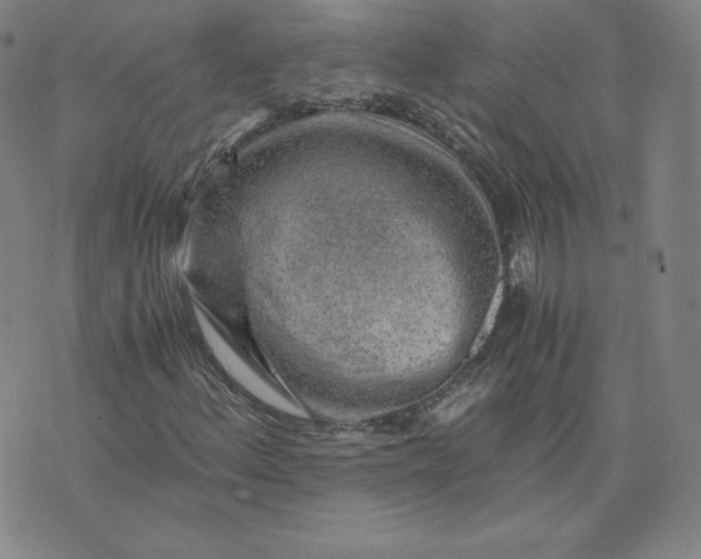 X0000076311156200610161611