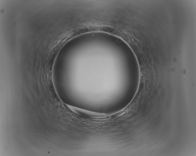 X0000076311157200610161611