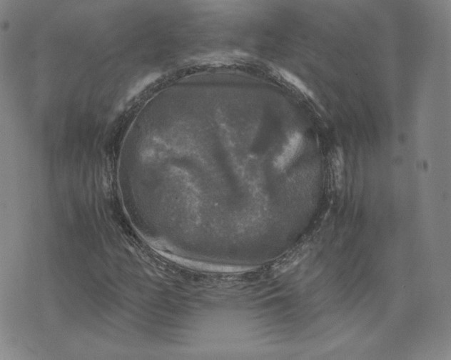 X0000076311158200610161611