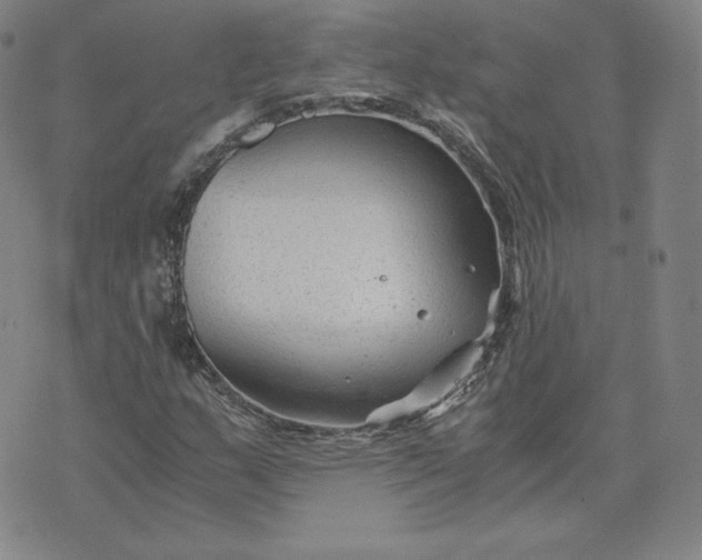 X0000076311159200610161611