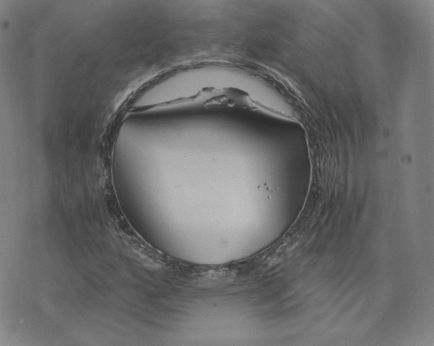 X0000076311160200610161611