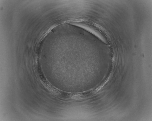 X0000076311161200610161611