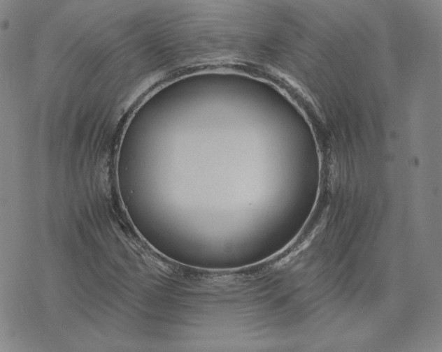 X0000076311162200610161611