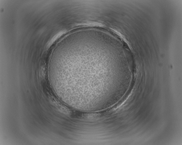 X0000076311163200610161611