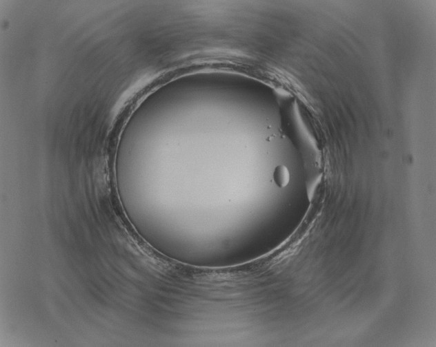 X0000076311164200610161611