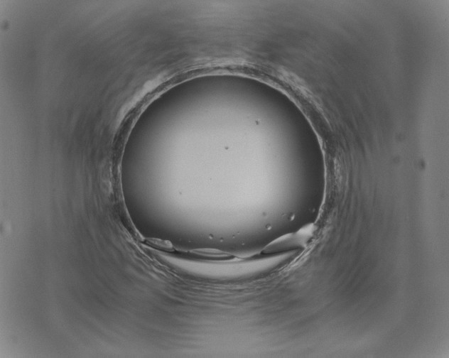 X0000076311165200610161611