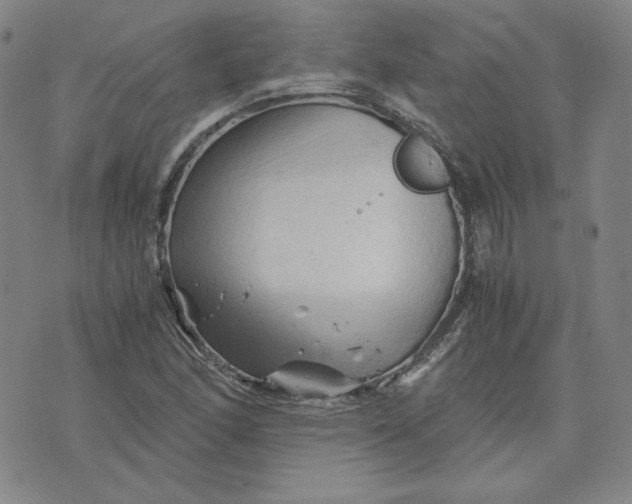 X0000076311166200610161611