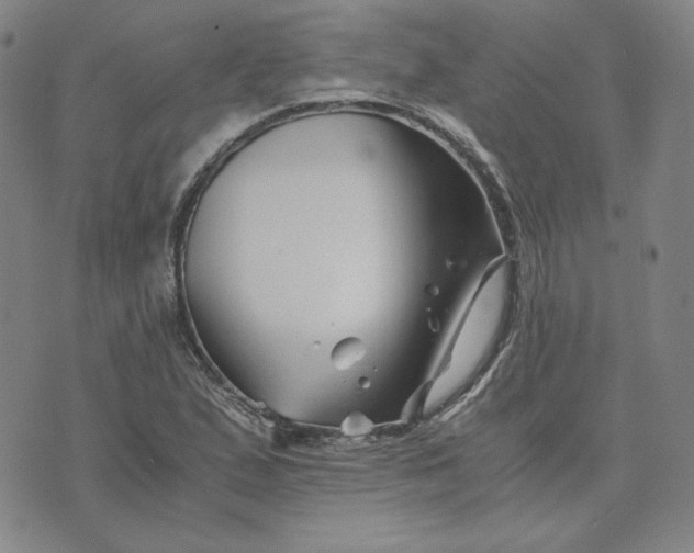 X0000076311167200610161611