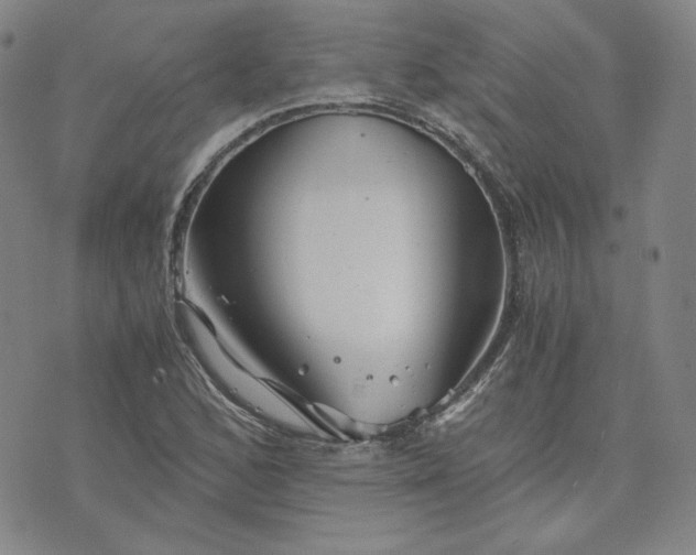 X0000076311168200610161611