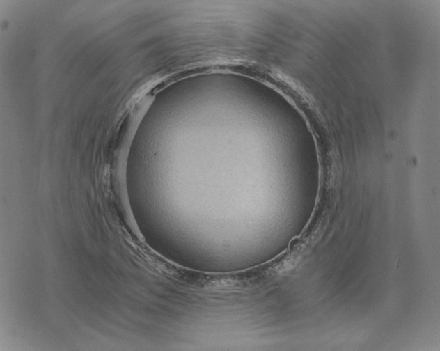 X0000076311169200610161611