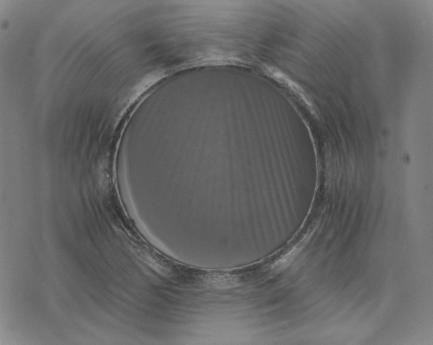 X0000076311170200610161611