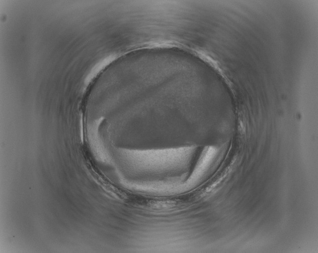 X0000076311171200610161611