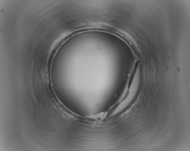 X0000076311172200610161611