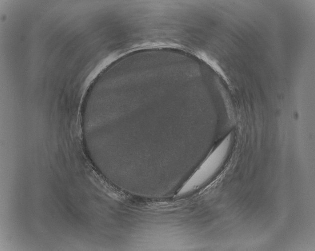 X0000076311173200610161611