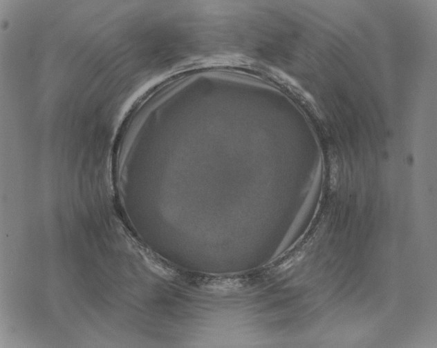 X0000076311174200610161611