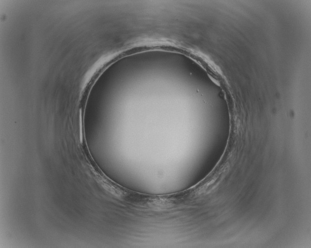 X0000076311175200610161611