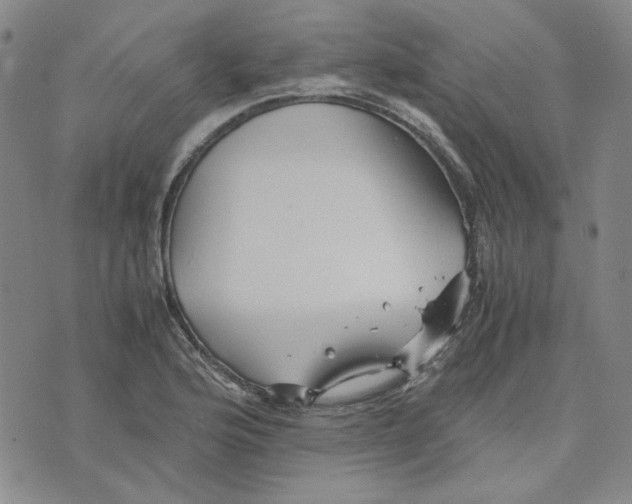 X0000076311176200610161611