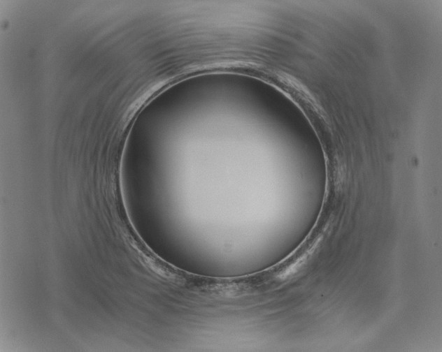 X0000076311177200610161611