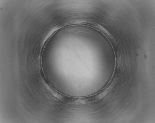 X0000076311178200610161611