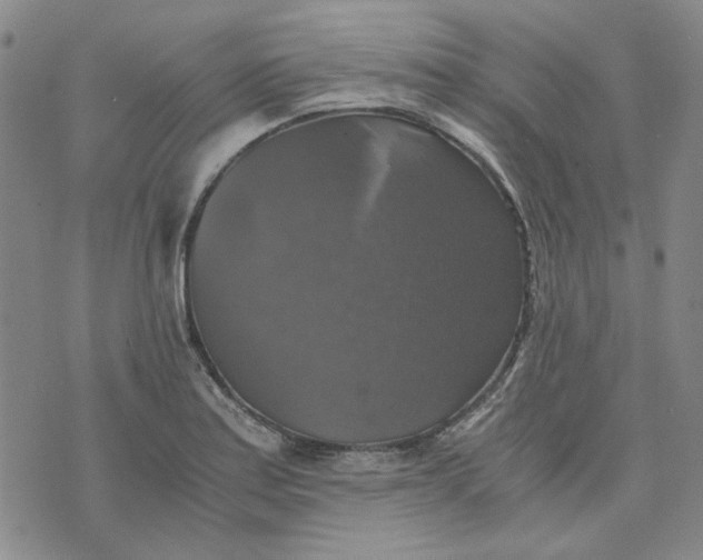 X0000076311179200610161611