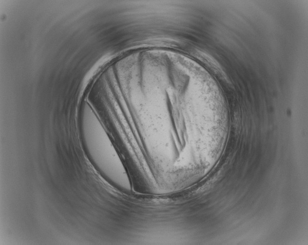 X0000076311180200610161611