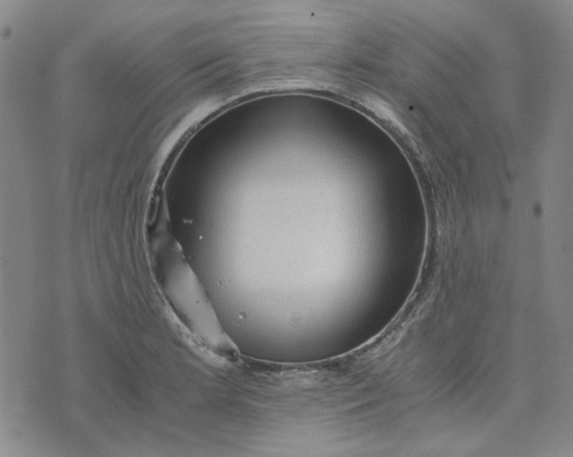 X0000076311181200610161611