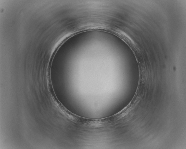 X0000076311182200610161611