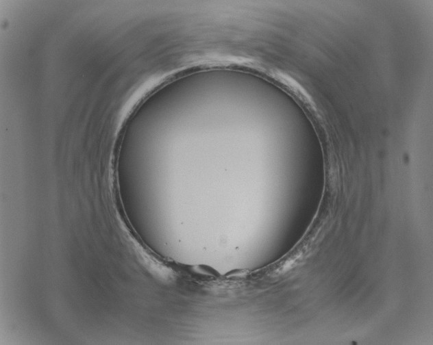 X0000076311183200610161611