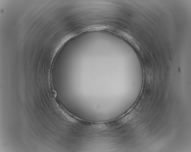 X0000076311186200610161611