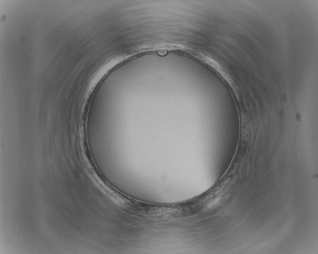 X0000076311187200610161611