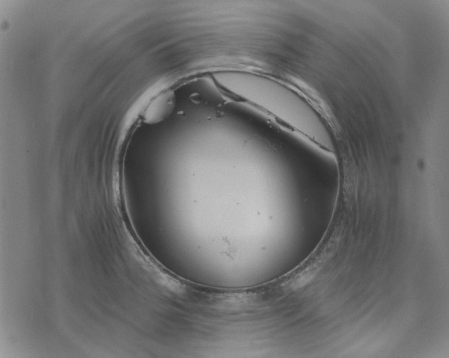 X0000076311188200610161611