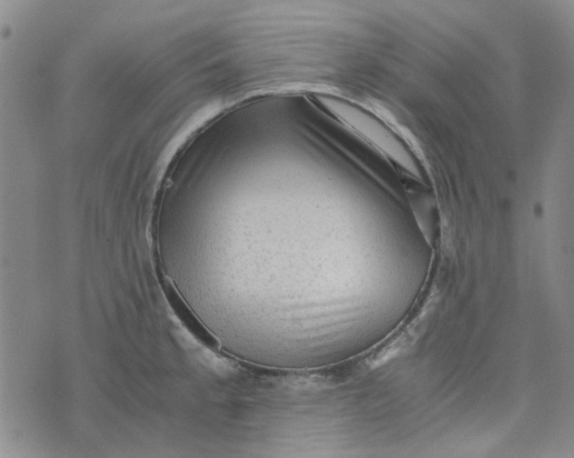 X0000076311189200610161611