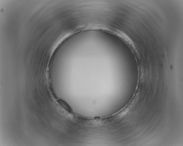 X0000076311190200610161611