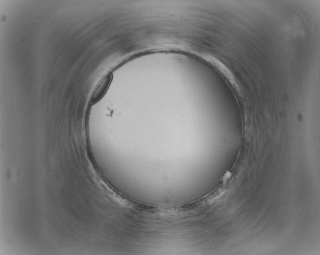 X0000076311191200610161611