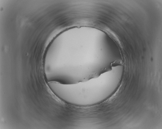 X0000076311192200610161611