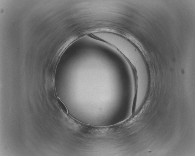 X0000076311193200610161611