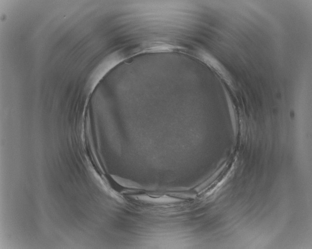 X0000076311194200610161611