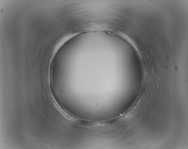 X0000076311195200610161611