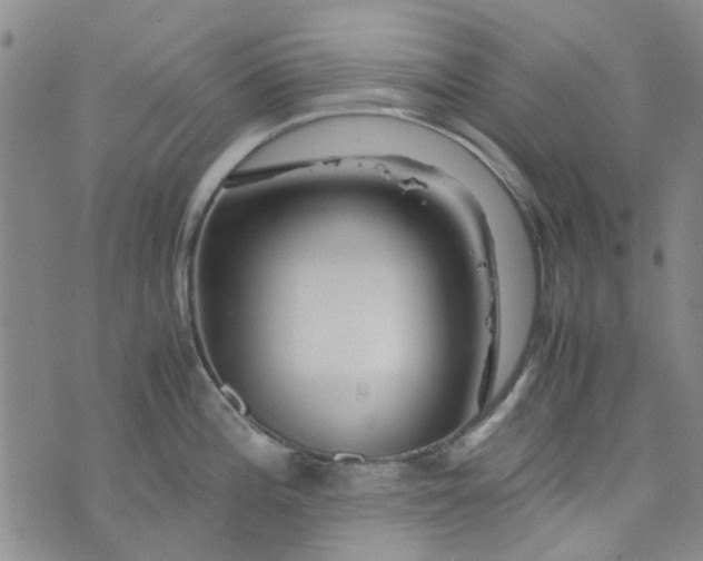 X0000076311196200610161611