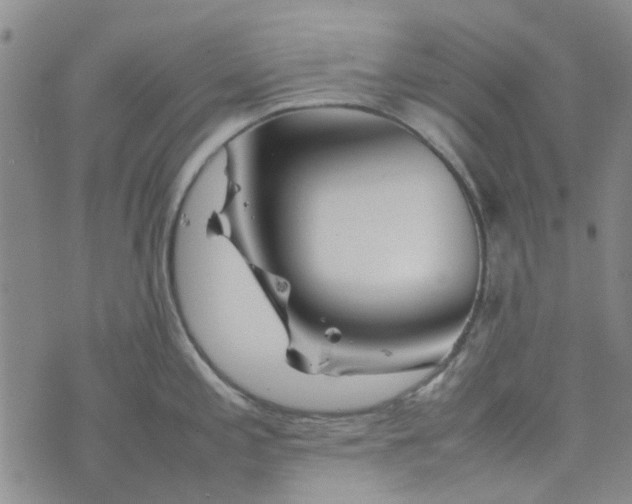 X0000076311197200610161611