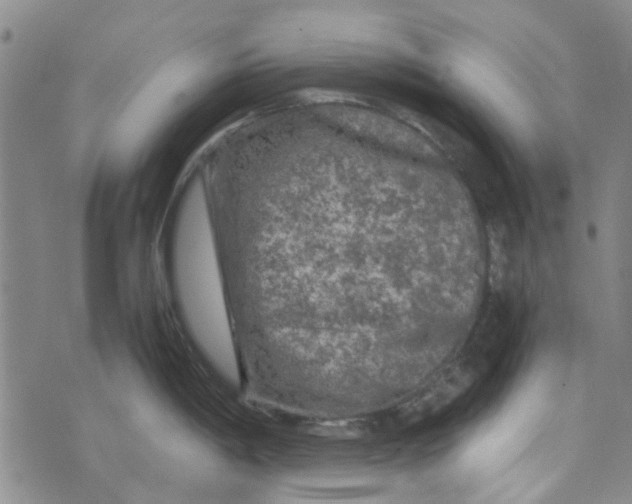 X0000076311198200610161611