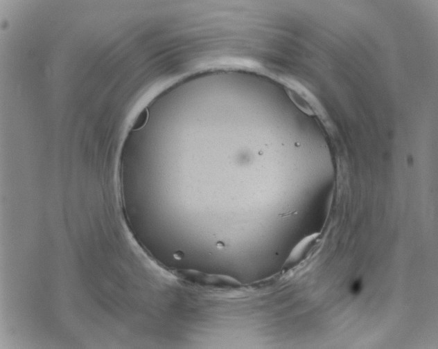 X0000076311199200610161611