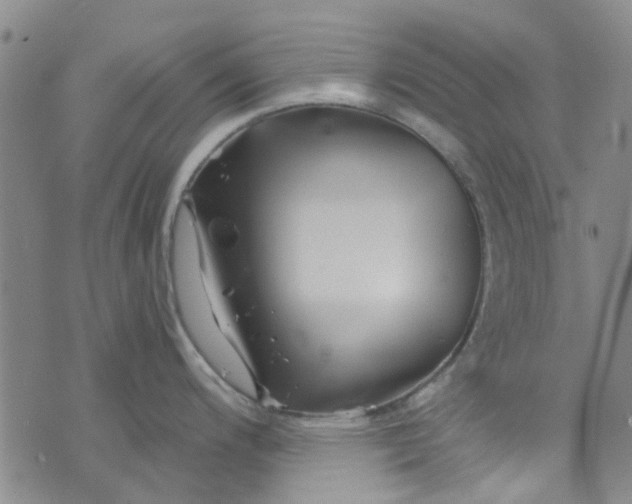 X0000076311200200610161611